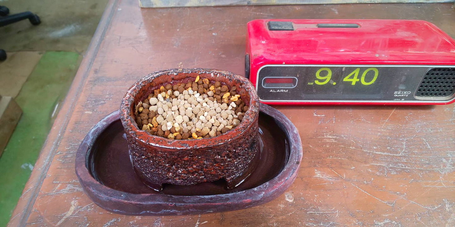 【Self-watering】Kiyo-Ume Bonsai pot / Mt.Fuji