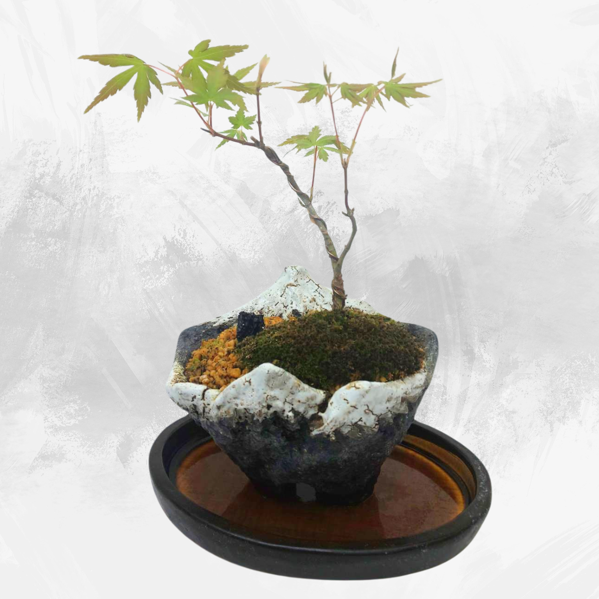 【Self-watering】Kiyo-Ume Bonsai pot / Mt.Fuji