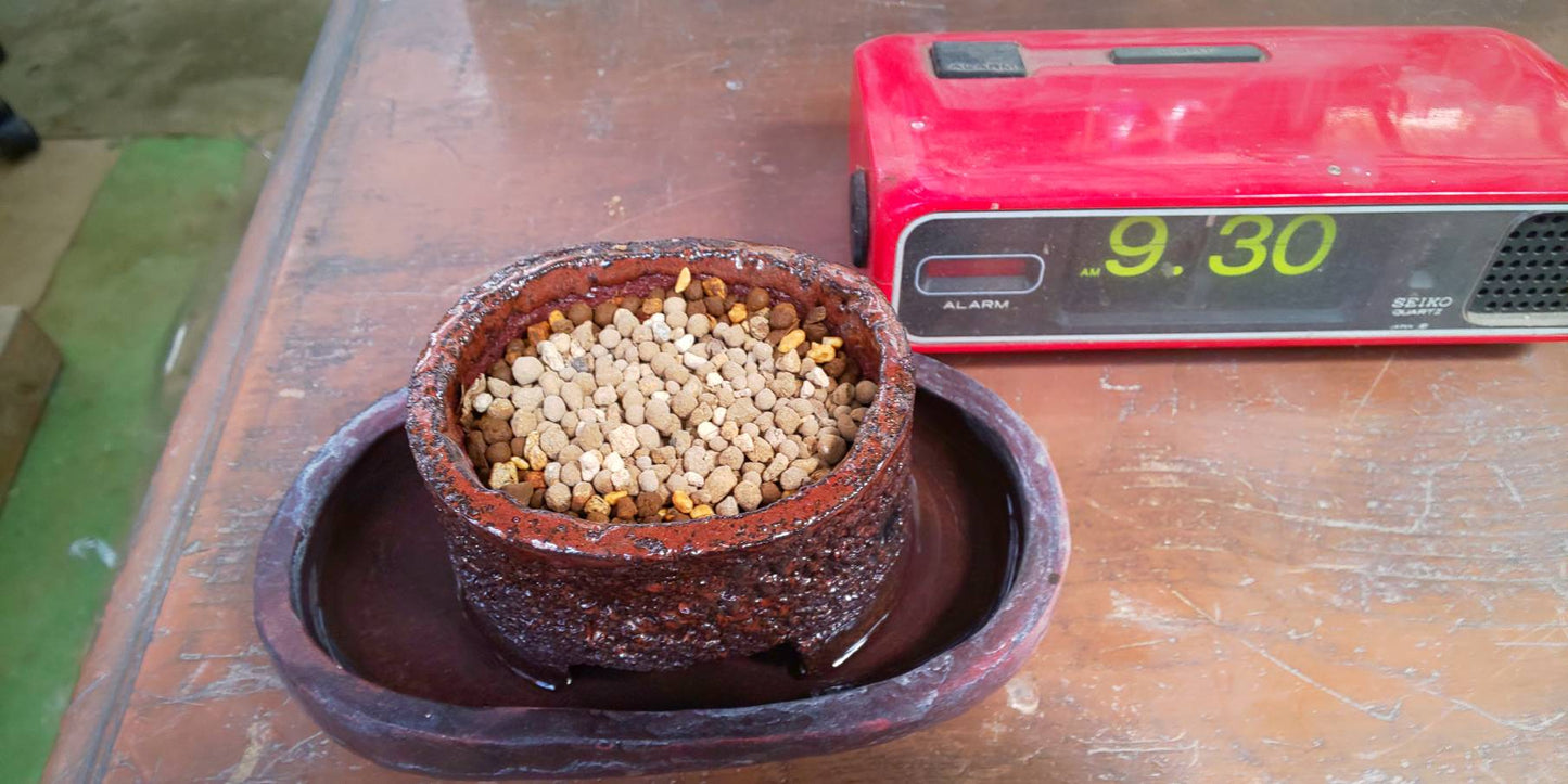 【Self-watering】Kiyo-Ume Bonsai pot / Mt.Fuji