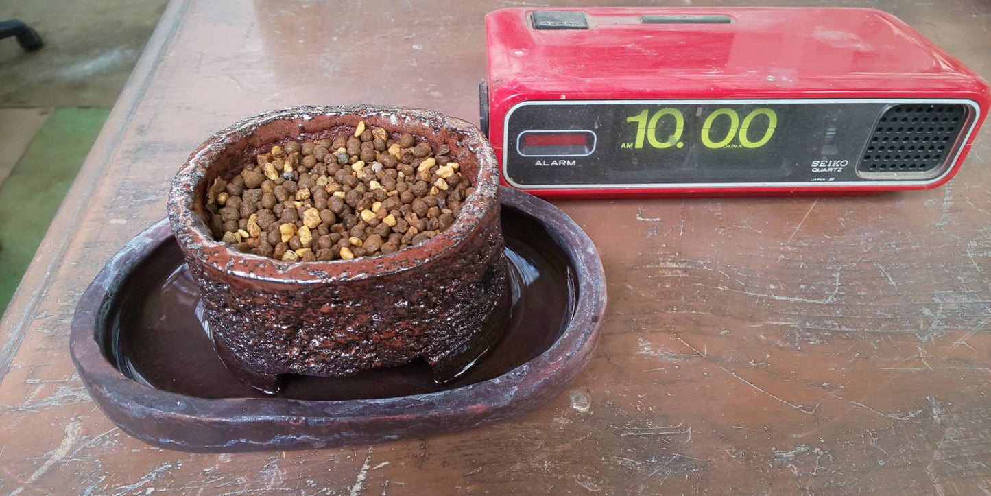 【Self-watering】Kiyo-Ume Bonsai pot / Mt.Fuji