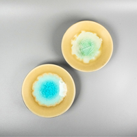 Crackle glaze small plate | Shoyo Kiln